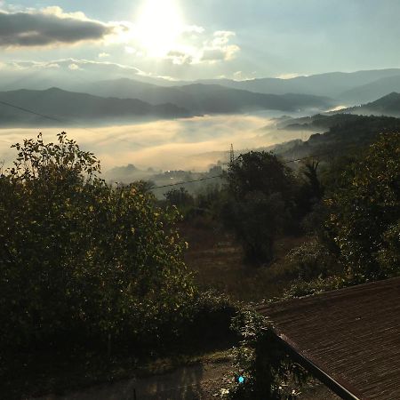 Il Mugello B&B Vicchio Exterior photo