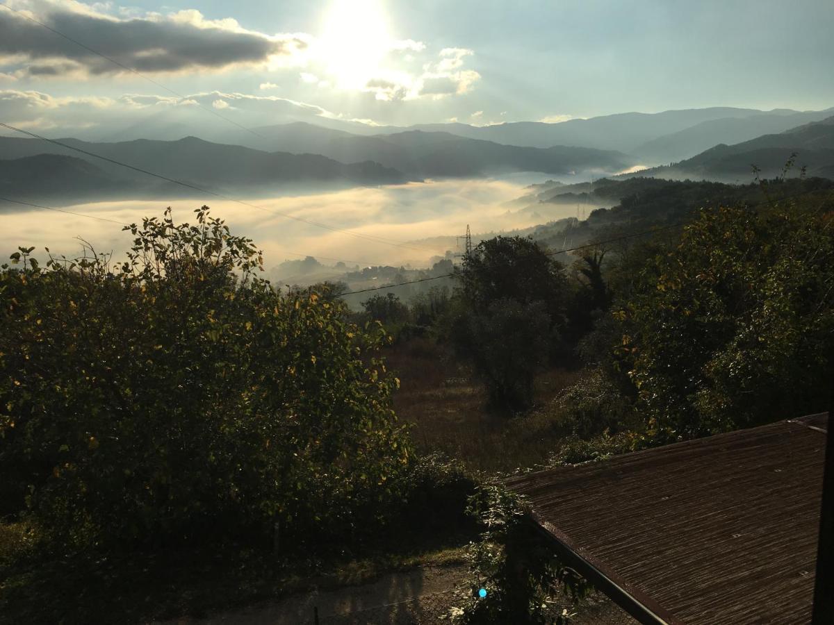 Il Mugello B&B Vicchio Exterior photo